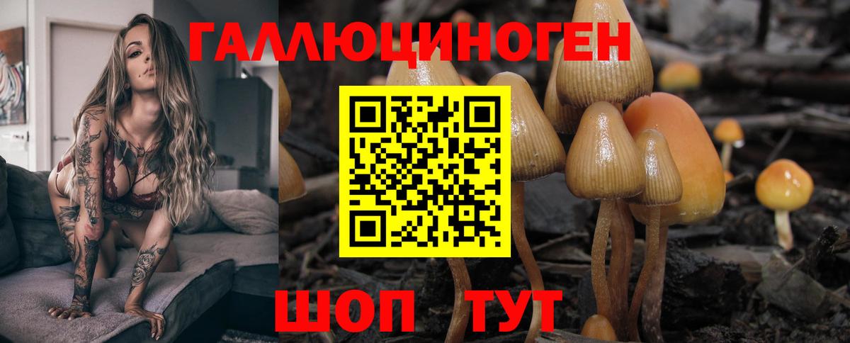 Серпухов  Псилоцибиновые грибы MAGIC MUSHROOMS  Вход с VPN  Псилоцибиновые грибы Psilocybe 