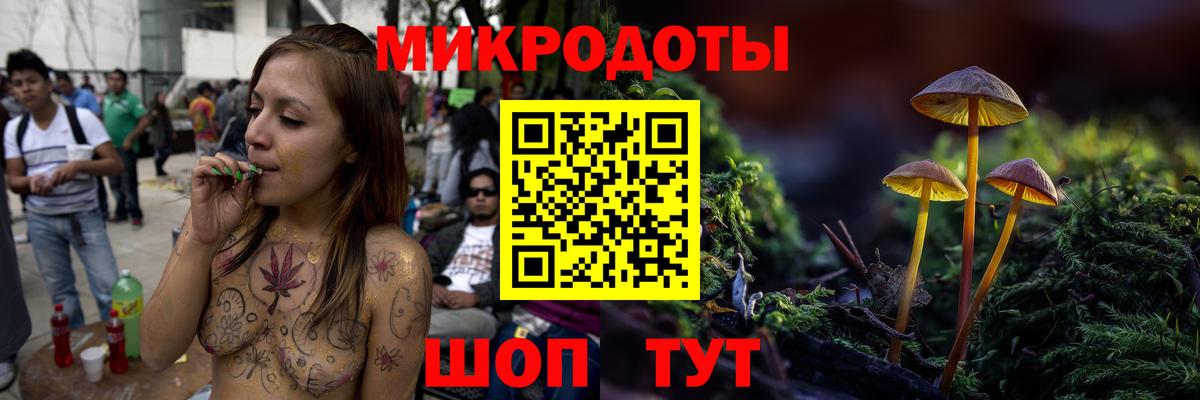 Галлюциногенные грибы Psilocybine cubensis Серпухов